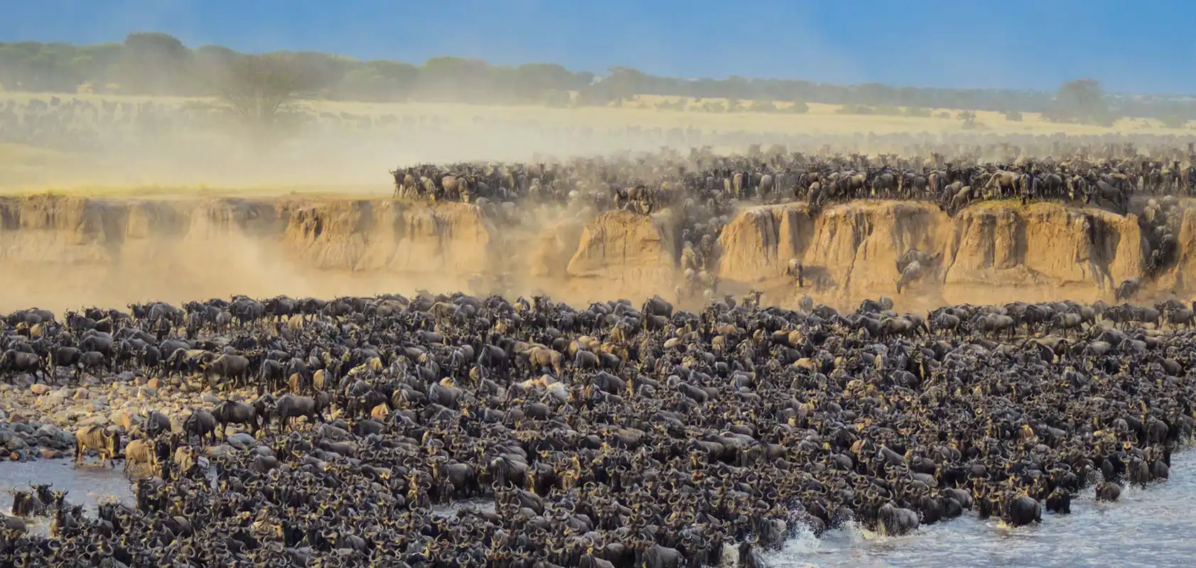 Serengeti Great Wildebeest Migration